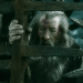 Der Hobbit - Die Schlacht der fünf Heere