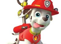 PAW Patrol - Helfer auf vier Pfoten