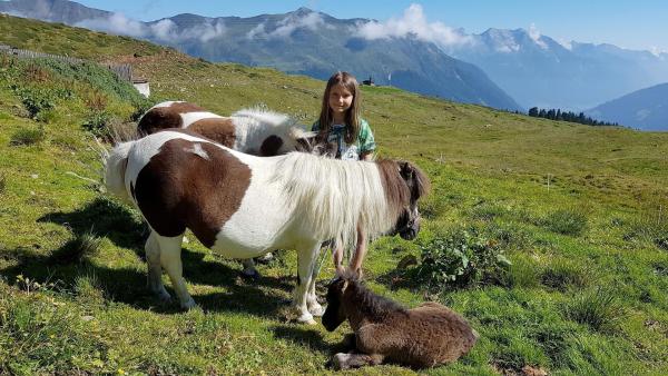 Bild 1 von 7: Im Bild: Ponys und ihre Besitzerin auf der Gampernun Alm.
