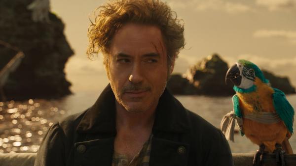 Bild 1 von 4: Dr. John Dolittle (Robert Downey Jr.)