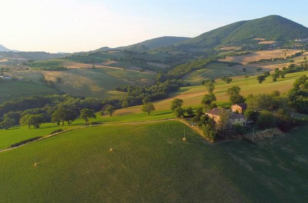 Bild 1 von 6: Die Landschaft der Marken ist von sanften Hügeln geprägt.