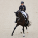 Sport im Westen live