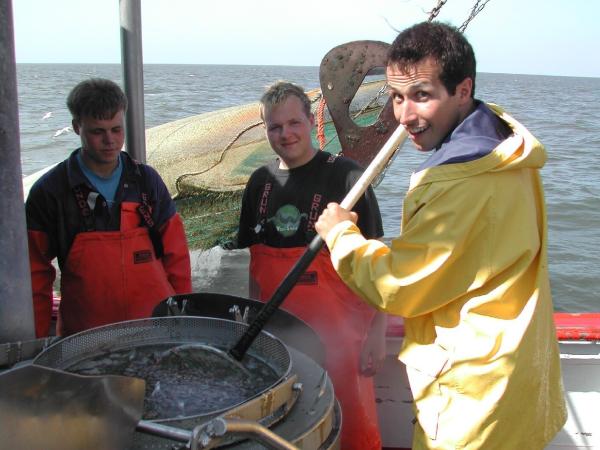 Bild 1 von 1: Willi auf einem Krabbenkutter in der Nordsee. Hier werden die Krabben direkt nach dem Fang gekocht, um sie haltbarer zu machen.