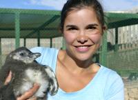 Anna und die wilden Tiere