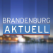 Brandenburg aktuell