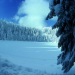 Der Schwarzwald