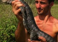 Andrew Ucles - Born To Be Wild