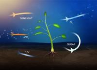 Unser Planet Erde - 4 Milliarden Jahre Geschichte