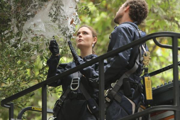 Bild 1 von 7: Temperance Brennan (Emily Deschanel, l.); Jack Hodgins (T.J. Thyne, r.)