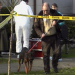Medical Detectives - Geheimnisse der Gerichtsmedizin