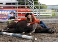 Heartland - Paradies für Pferde