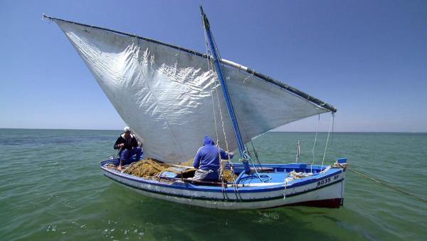 Bild 1 von 9: Im Bild: Mit seinen 10 Millionen Einwohnern ist Tunesien der kleinste Staat Nordafrikas. Dennoch gilt es als das fortschrittlichste und weltoffenste Land des Maghreb.