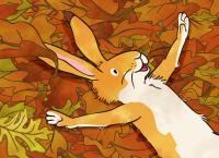 Weißt du eigentlich, wie lieb ich dich hab? - Die Abenteuer des kleinen Hasen