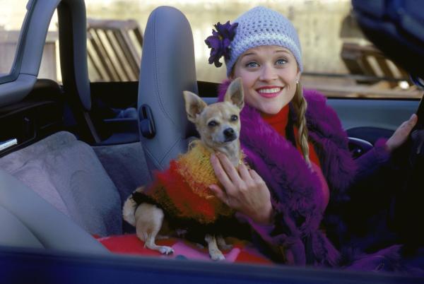 Bild 1 von 4: Um ihren Traummann zurückzuerobern, bewirbt sich Elle Woods (Reese Witherspoon) für ein Jurastudium in Harvard. Sie schafft die Zulassung, muss dann aber feststellen, dass ein bezaubernder Charakter und eine pinkfarbene Prada-Tasche ihr beim Studium nicht unbedingt helfen ...