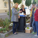 Grüne Oasen in der Stadt