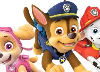 PAW Patrol - Helfer auf vier Pfoten