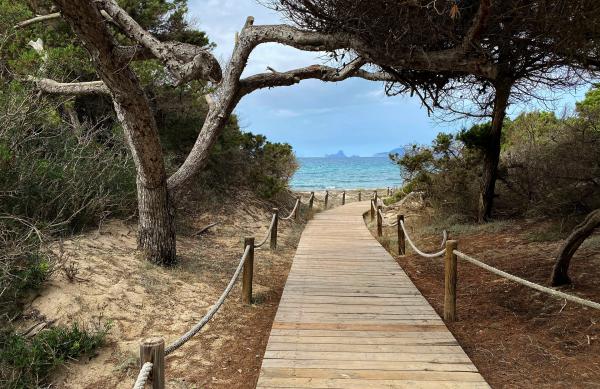 Bild 1 von 4: Über 30 \