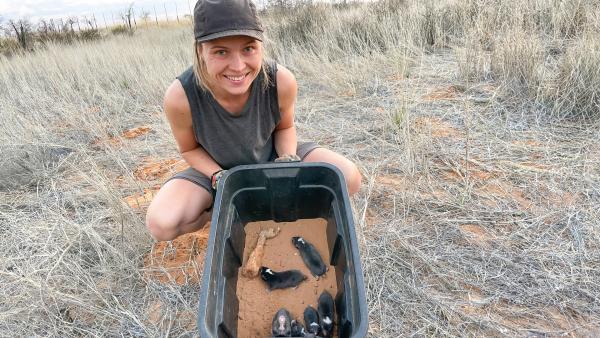 Bild 1 von 5: Hanna Bensch von der schwedischen Linnè-Universität mit einer kompletten Damaraland-Graumull-Kolonie. Diese unterirdisch lebenden Verwandten der Nacktmulle bilden Staaten mit einer Königin und Arbeitsteilung, ähnlich wie bei den sozialen Insekten - einzigartig unter den Säugetieren.