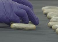 Border Patrol Südamerika: Gestohlene Identität