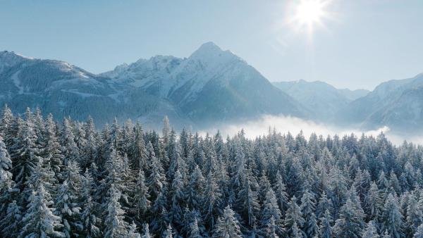Bild 1 von 7: Im Bild: Zillertaler Winterlandschaft.