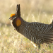 Abenteuer Wildnis