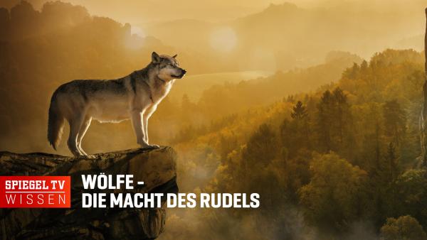 Bild 1 von 2: .