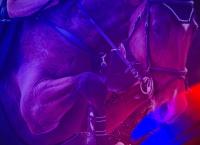 Reitsport: Global Champions Tour in Riad