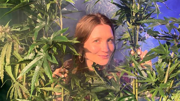 Bild 1 von 1: Cannabis-Mythen: Ist es wirklich harmlos? Macht es immer happy? Macht es süchtig? Wir gehen den Fakten auf den Grund.