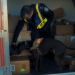 Airport Security USA