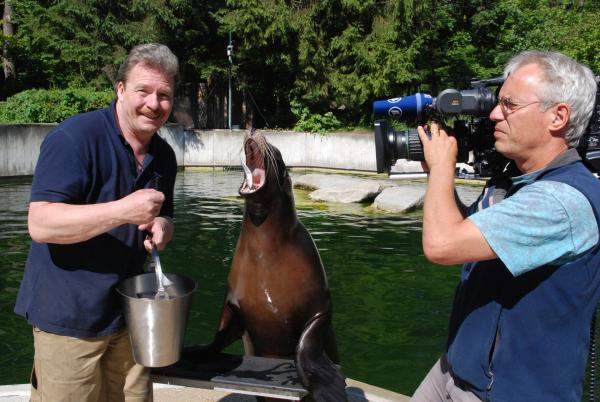 Bild 1 von 1: Im Seelöwengehege.