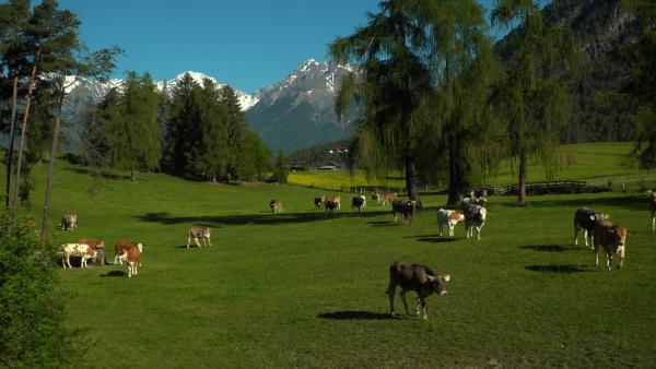 Bild 1 von 5: .