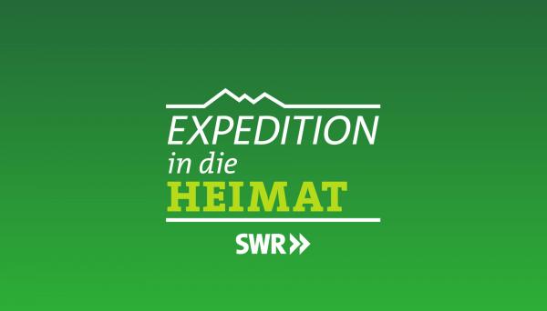 Fernsehprogramm Freitag 20.15 Fernsehprogramm Freitag 20.15