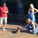 Der Hundeprofi
