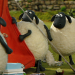 Shaun das Schaf