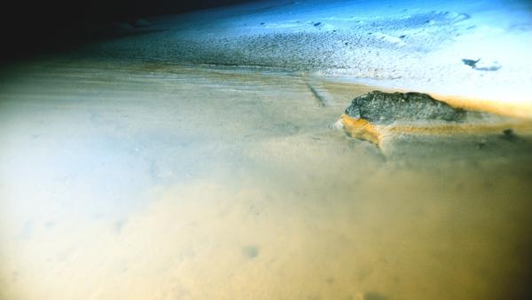 Bild 1 von 11: Ein Strand in 1600 Meter Tiefe. Unter dem normalen Meerwasser wabert hochkonzentrierte Salzlösung.