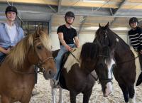 Die Allstars-WG - Setzt die Segel