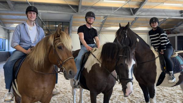 Bild 1 von 1: Rouven, Justus und Ella freuen sich auf einen gemeinsamen Ausritt am Strand!