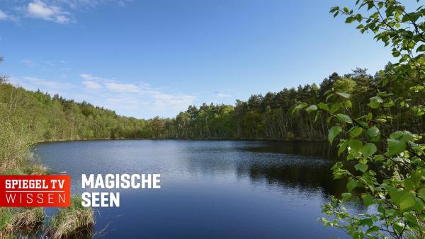 Bild 1 von 2: .