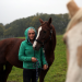 Praxis Dr. Dreesen - Ein Hof für Tiere