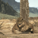 Sternstunden der Evolution
