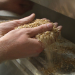 Unser täglich Brot