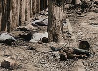 Wendepunkte des Zweiten Weltkriegs