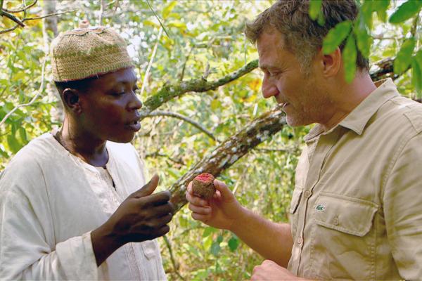 Bild 1 von 3: Der Afrikanische Pfirsich ist eine seltene Arzneipflanze aus Kamerun - der Heiler Gaston Amoa (li.) zeigt Bernard Fontanille einen der raren Bäume.