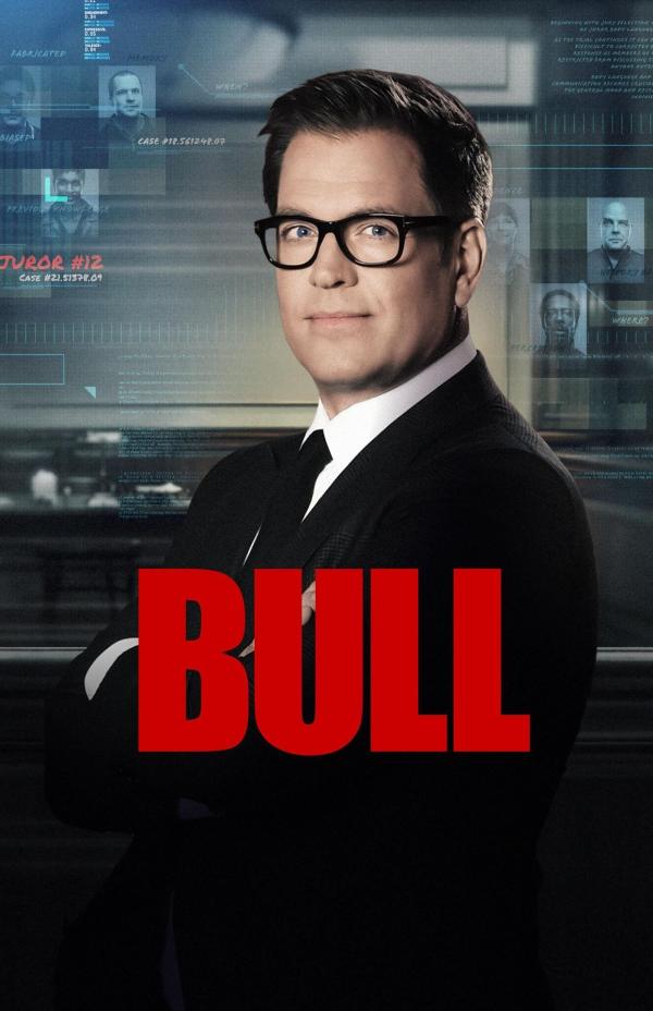 Bild 1 von 4: (6. Staffel) - Bull - Artwork