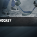 Eishockey Live - DEL