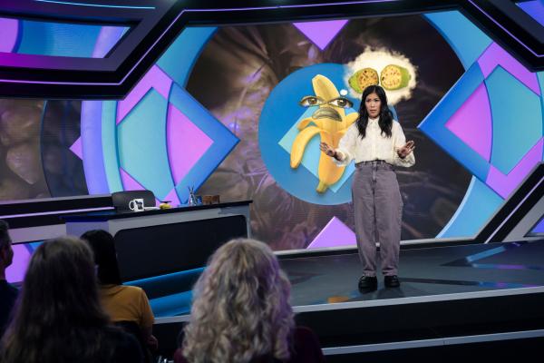 Bild 1 von 11: Wir verdanken unsere Ernährungssicherheit gezüchteten High-Performer-Pflanzen. Die genetische Gleichförmigkeit ist hier gewollt - sie sorgt nicht nur für verlässliche Erträge, sondern auch dafür, dass die Pflanzen gleichmäßig wachsen und zur gleichen Zeit geerntet werden können. Aber auch bei unseren Pflanzen führt die Verkleinerung des Genpools zu Nachteilen, Stichwort Inzuchtdepression.