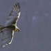 Abenteuer Wildnis