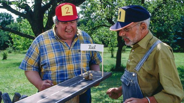 Bild 1 von 1: Welche Schnecke wird das Rennen gewinnen? Nachbar Paschulke (Helmut Krass, l.) und Peter (Peter Lustig, r.) feuern ihre Weinbergschnecken siegessicher an.