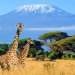Bike Mike: Kenia, Uganda, Tansania mit Sansibar