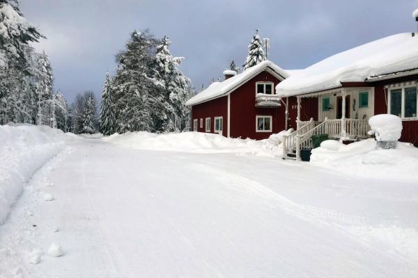 Bild 1 von 3: In Lappland, wo eigentlich irgendwie fast immer Winter ist, lebt Susanne. Sie fühlt sich der Kultur der Region stark verbunden.